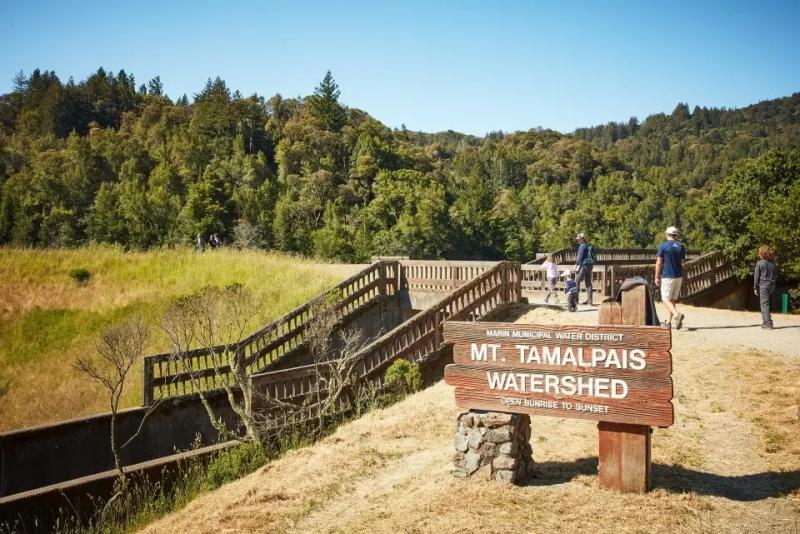 View of the Mt Tam Watershed sign with woods in the background