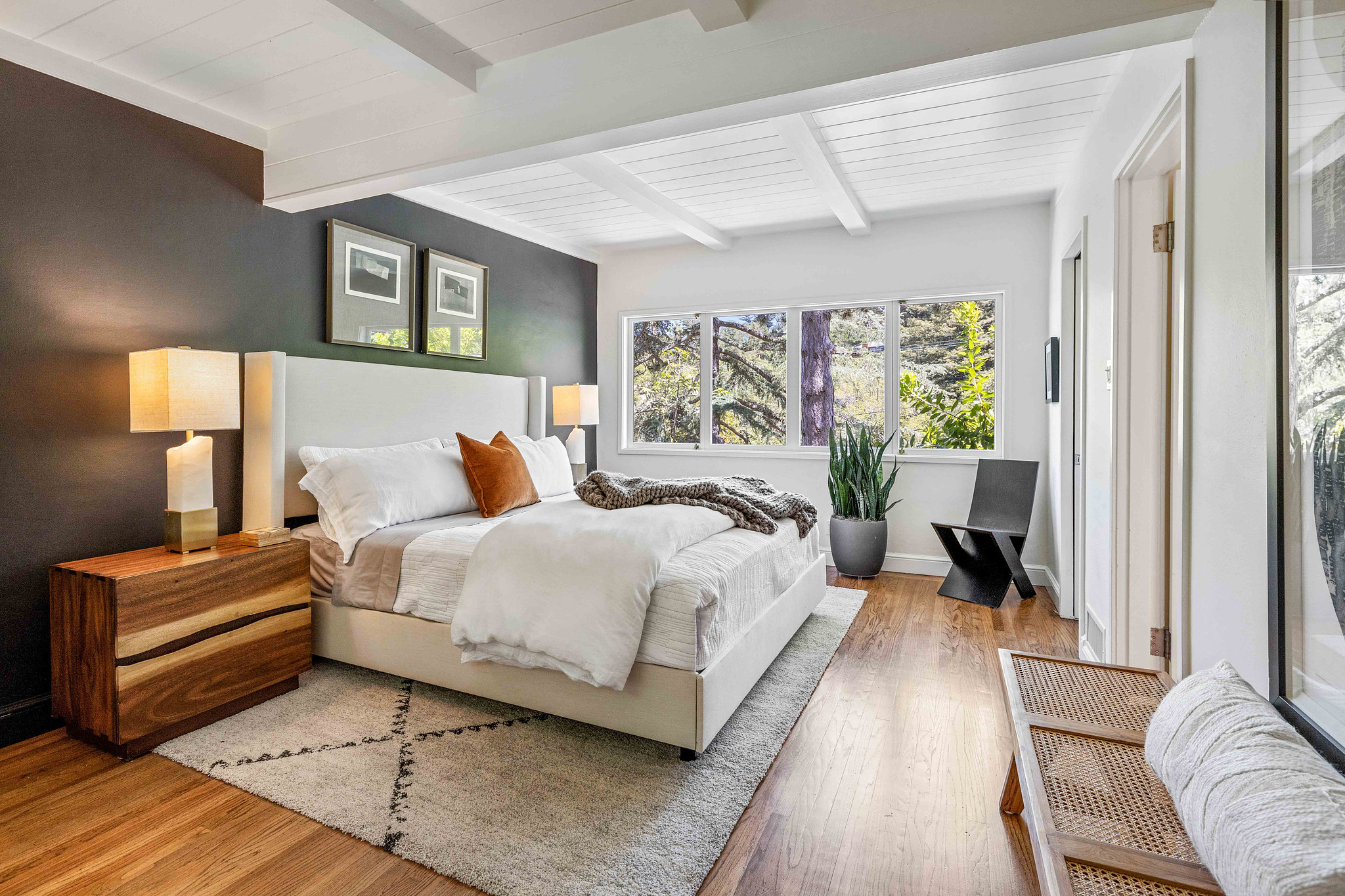 Primary bedroom, showing a dark accent wall and beautiful wood floors