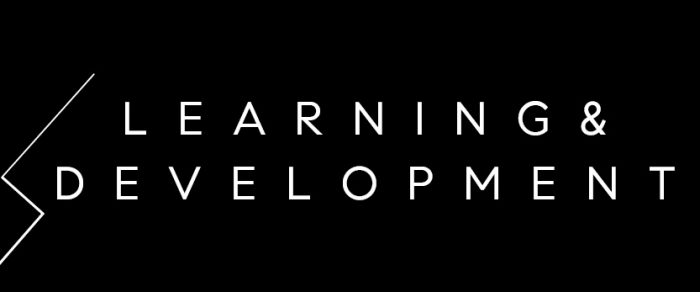 DEI learning and development