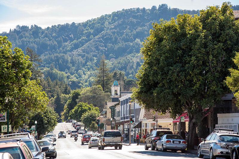 View of a quaint treelined street in Larkspur, showing local shops in the distance