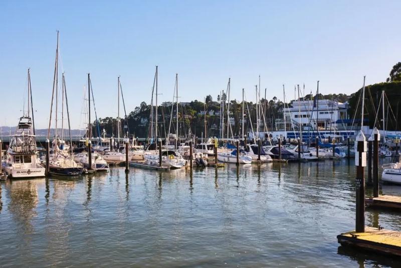 Boats docked in a row in the San Francisco Bay, Tiburon