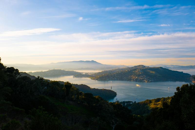 Aerial view of Tiburon, showing mountains and sparking water