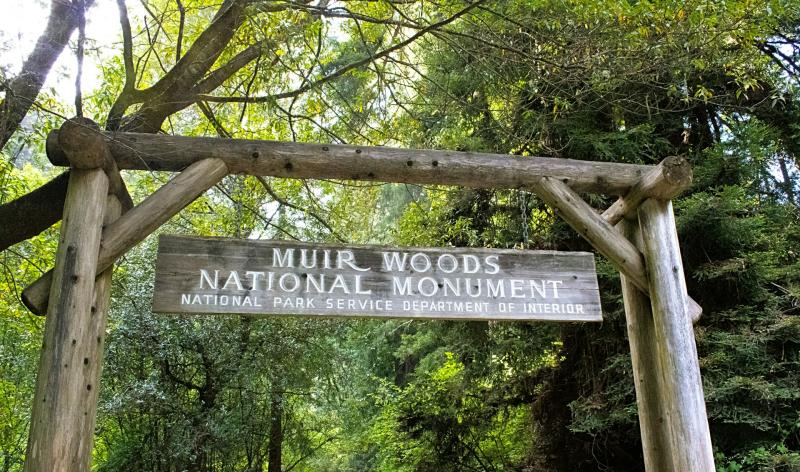 Wooden sign for Muir Woods
