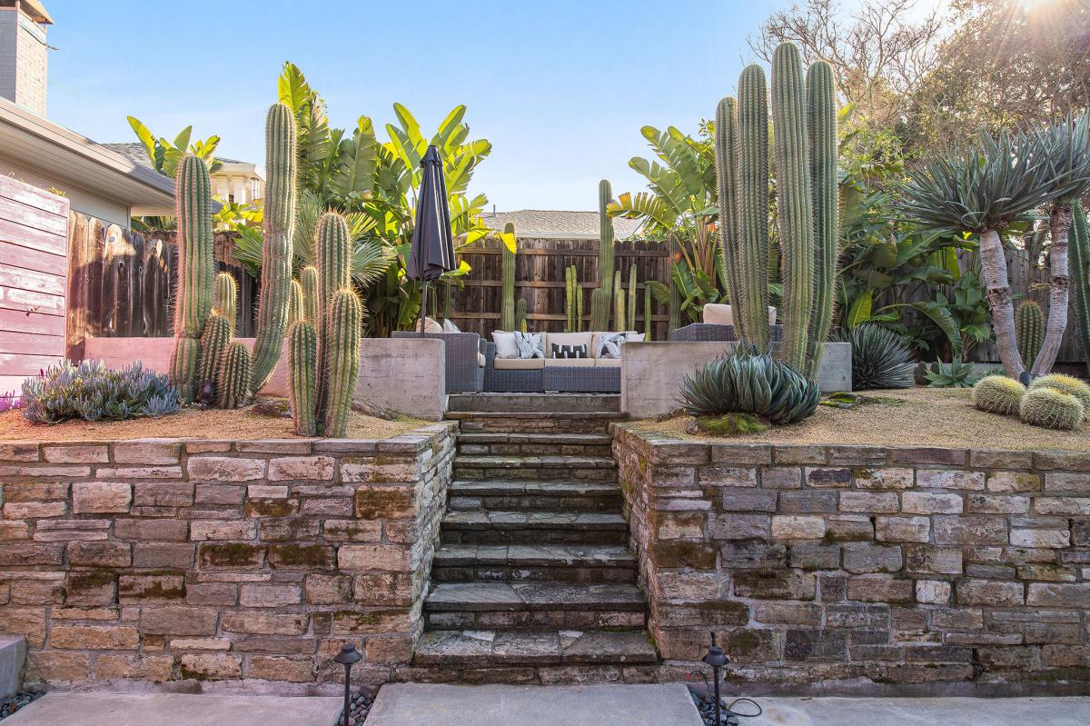 Steps leading up to a terraced cactus garden #17