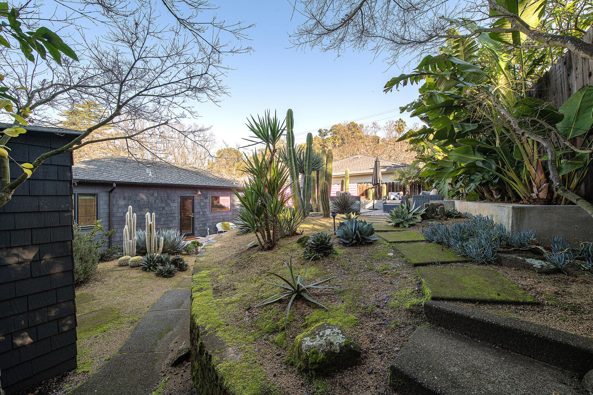 View of the rear yard showing a path and trees #20