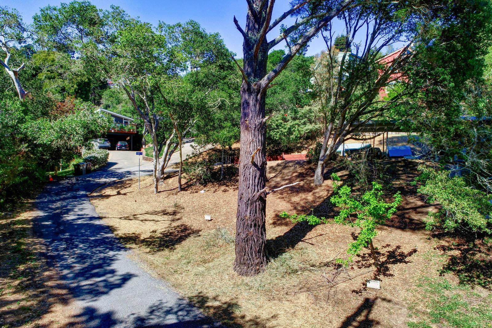 320 Tennessee Ave #10