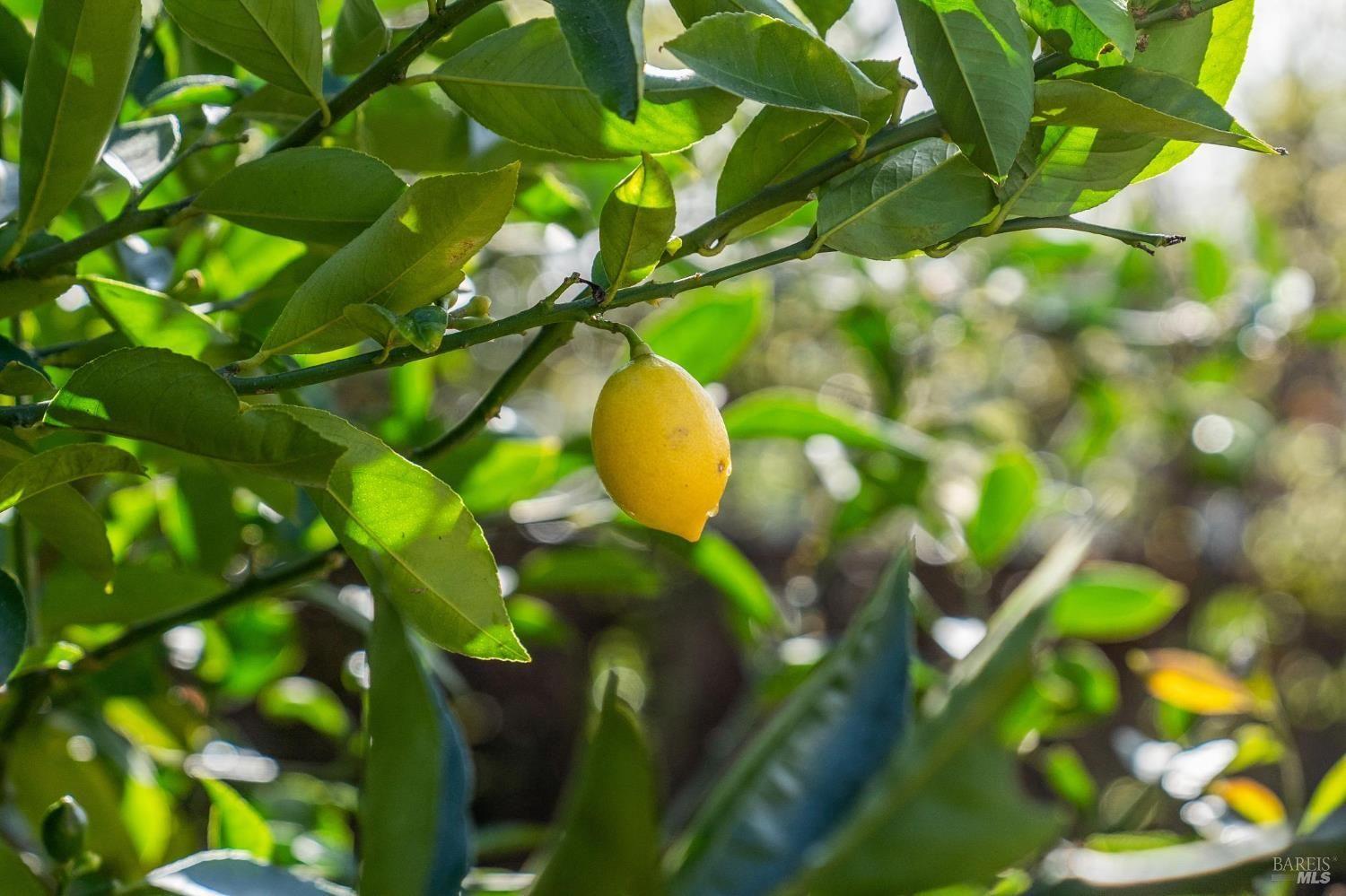 484 Summit Avenue #31