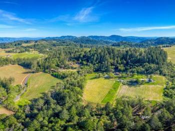 4036-spring-mountain-road-st-helena #2