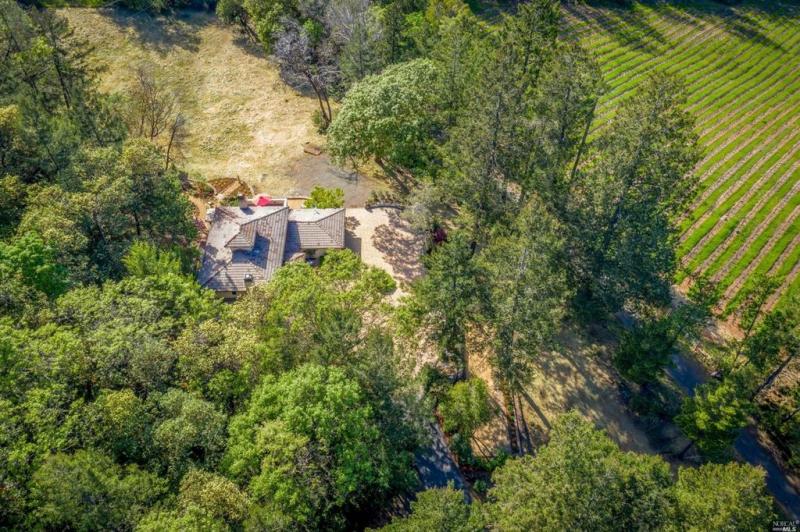 4036 Spring Mountain Road St Helena - Exterior #13 #27
