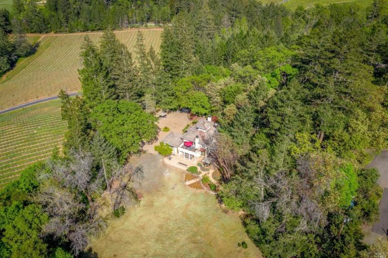 4036 Spring Mountain Road St Helena - Exterior #17 #31